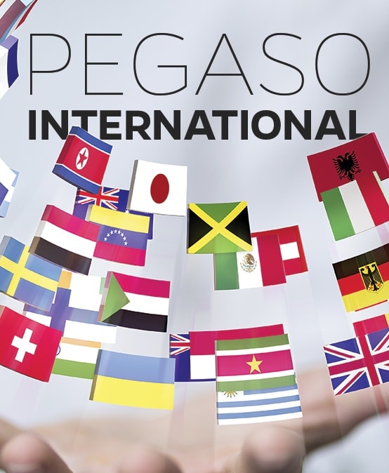 Pegaso International